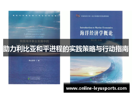 助力利比亚和平进程的实践策略与行动指南